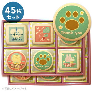 jZbg F oYjɑ郁bZ[WNbL[15~45Zbg  Ԃ v` Mtg