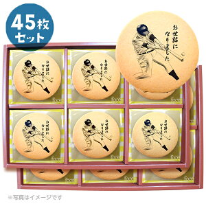 y500~OFFN[|L z  X|[c 싅 z₷ 15~45Zbg Mtg