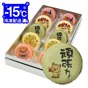  َq ΂ bZ[W}J 5Zbg  v` Mtg