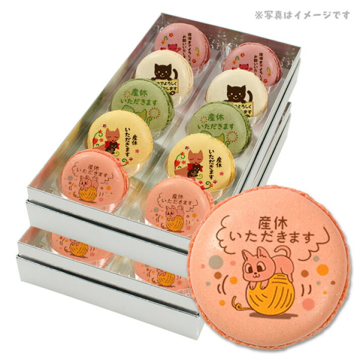 楽天市場 産休 あいさつ ネコのイラスト 22 メッセージ マカロン 個 ケーキ 洋菓子 お菓子 お取り寄せスイーツ 通販 人気 贈り物 おすすめ 有名 フォチェッタ Focetta 低糖質 スイーツ工房フォチェッタ