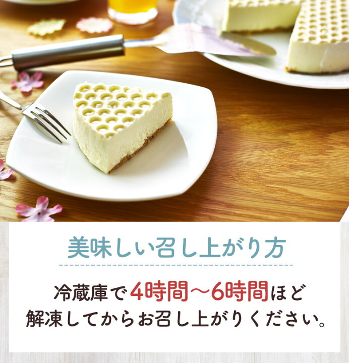 楽天市場 バレンタイン 22 ギフト 低糖質 レアチーズケーキ 5号 15cm 糖質制限 バースデー 誕生日 ロカボ 洋菓子 お菓子 スイーツ 人気 お取り寄せスイーツ 通販 内祝い 記念日 贈り物 お祝い 記念 おすすめ 有名 低糖質 スイーツ工房フォチェッタ