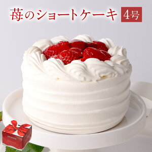 _15OFFN[|L^y NX}X zy Ε z䕂̃V[gP[L 1  Mtg j َq XC[c 