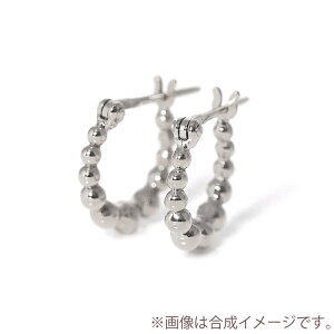 Vo[ t[v ۋ  {[ sAX Silver | t[vsAX fUC   y  ޏ fB[X v[g Mtg ANZT[ ANZ a Vv ig ItBX 