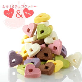 チョコクッキー ♡ハート＆ハート♡ 2個入12包 （個包装） とろけるチョコクッキー 推し活 推し色 老舗菓子店 お菓子のさかい チョコレート クッキー お祝い お礼 敬老の日 プレゼント ご褒美スイーツ お歳暮 ギフト パーティ お菓子 ＜送料無料＞
