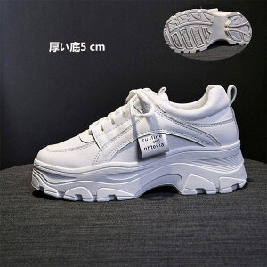  Xj[J[ fB[X Xj[J[ C EH[LOV[Y ꂢ    ₷ y 5Z` _bhXj[J[ אg Cq[Xj[J[ ʊw ؍ C H