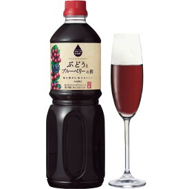 内堀醸造 フルーツビネガー 1L ぶどうとブルーベリーの酢 飲むお酢 ぶどう ブルーベリー 果実酢 無糖 ジュース 希釈用 ペットボトル 1本 日本