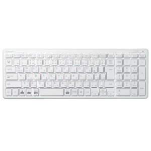 �G���R�� USB-A �L�[�{�[�h ���C�����X (���V�[�o�[�t��) �p���^�O���t �R���p�N�g�L�[�{�[�h �z���C�g TK-FDP099TWH