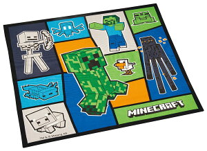 �X�P�[�^�[(Skater) �����`�N���X �q���p ���ٓ� 43×43cm ���{�� �}�C���N���t�g 25 Minecraft �j�̎q KB4-A