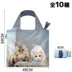 GRobO ܂肽 WJSobO  WJS obO e ܂ŏ S10 킢 V_[obO g[gobO VbsOobO Y fB[X 