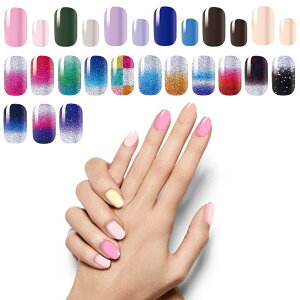 S20 \邾 lCV[ LL  n 1Zbg16 lC`bv