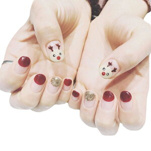 14s[X lCV[ \邾 S14 NX}X lC ȒP w VF S[h  i 킢  lCA[g