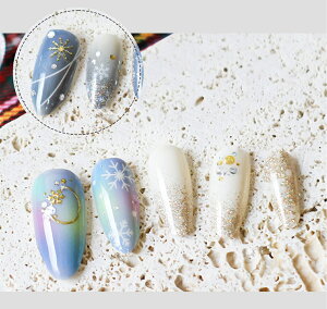 14s[X lCV[ \邾 NX}X lC ̌  w S[h