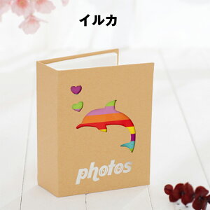 tHgAo ʐ^ x[W 2L100[@L200[ PP|Pbg e LbY fB[X 킢 