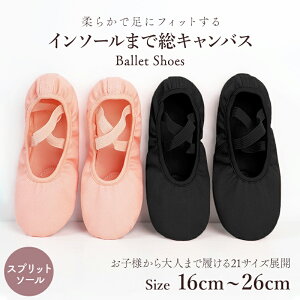 oGV[Y \f LoX NXS RȂ S2F 16-26cm Xvbg\[ Vv z sN  _炩 LbY WjA fB[X Y K[Y {[CY bX