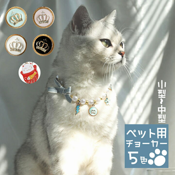楽天市場】猫用首輪 猫 小型犬 ネコのチョーカー リボン 可愛い パール  