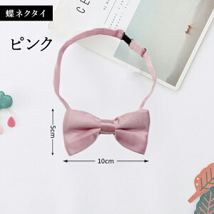 lN^C lN^C j̎q ǂ j̎qplN^C q w   \  tH[} Pi