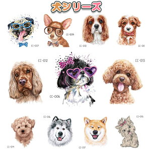 y11Zbgz^gD[V[  L Č tFCN^gD[ [NV[Jt {fBXebJ[ t@bV {fB[V[ {fB[yCg 킢    ˂ V