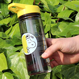 PEANUTS 19oz. ウォーター ボトル スヌーピー SN-MU-PNTG-Q970