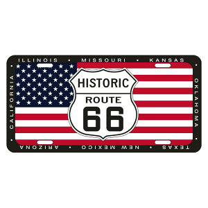 �A���~�j�E�� �T�C�� RT 66 LICENSE PLATE 66-GL-SLR6HF