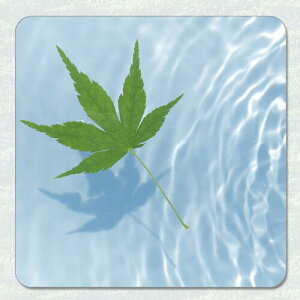 【SAKEマット】 青もみじ 酒グッズ 吸水性があり複数の酒器や冷やしたボトルが置ける大型コースター 柔らかめのマウスパッドに似た素材