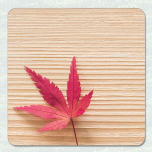 【SAKEマット】 紅葉 酒グッズ 吸水性があり複数の酒器や冷やしたボトルが置ける大型コースター 柔らかめのマウスパッドに似た素材