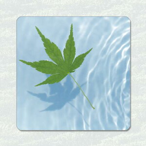 <ラバー コースター> 青もみじ