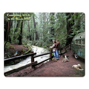 �X�e�B�[�� �T�C�� �i�X�`�[�� �T�C���j Camping Usa 1949 LG-446