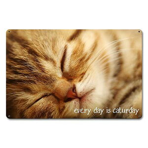 �X�e�B�[�� �T�C�� �i�X�`�[�� �T�C���j Every Day Caturday PTSB-432