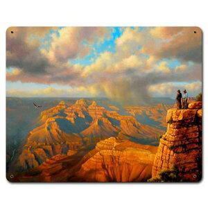 �X�e�B�[�� �T�C�� �i�X�`�[�� �T�C���j Grand Canyon Behold The Magnificence STK-179.