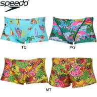 【7/20(月)店内全品ポイント5倍！最大35.5倍！】【30%OFF】スピード(SPEEDO) MULGA 男性用 練習用水着 メ…