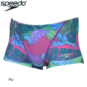 y11/10()XSi|Cg3{Iő34{Izy15%OFFzXs[h(SPEEDO) jp Kp Y^[Y{bNX ST52554