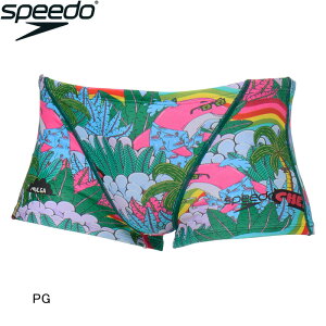 y15%OFFzXs[h(SPEEDO) MULGA jp Kp WjA^[Y{bNX STB52551MU