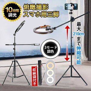 y[J[]i7,380~ 2,990~zՎBe X}zX^h Or OCg 3F  Be LED YouTube tiktok  Web ~[eBO [g