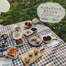 楽天市場 レジャーシート 特大 レジャーシート チェア テーブル レジャーシート アウトドア スポーツ アウトドアの通販