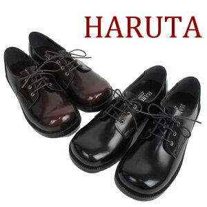  ŋz n^ HARUTA fB[X tH[} 4902 [XAbv JWAV[Y XN[ 3E  W}CJ dive
