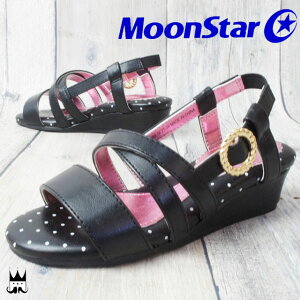 ᕟܑΏۏi15A 16cm̂ [X^[ LbY T_ ubN ŋz evid