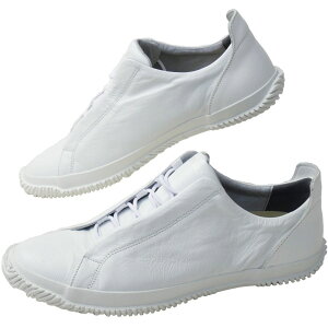 yԕiz XsO Y Xj[J[  U[Xj[J[  { fB[X JWAV[Y {v C ubN zCg JK[U[ SPINGLE SP-1048 ŋz