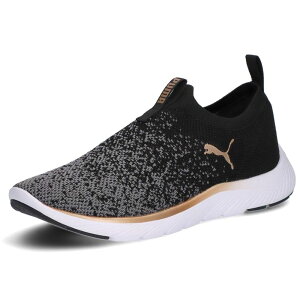 v[} Xb| fB[X \tgCh ~ Xbv-I jbg EBY [Jbg jOV[Y JWAV[Y 309834 01 ubN  05 y[v C evid m-sg