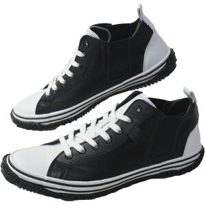 yԕizXsO Xj[J[ fB[X ~bhJbg TChSA Y JWAV[Y ChCWp {v SP-442 / JK[U[ { C ŋz