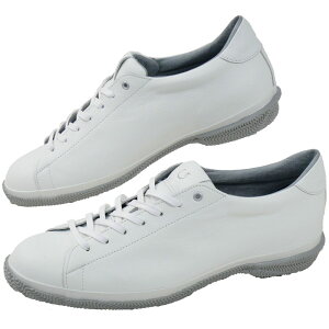 yԕizXsO Xj[J[ Y [Jbg fB[X U[Xj[J[ JWAV[Y ChCWp { SP-6146 zCg  C ŋz