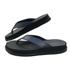 XsO gOT_ Y {v RtH[gT_ ChCWp U[T_ { JK[U[ SP-1717 ubN  fB[vlCr[ fB[vbh fB[v