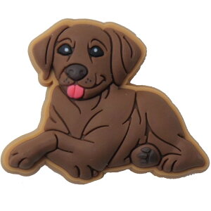 NbNX Wrbc Puppy q  V[p[c jibbitz LbY fB[X S[fgo[ hD[h uh[ ` o[NbOpANZT[ uE x[W Y 10