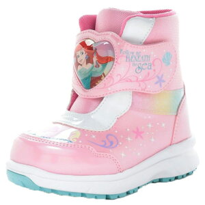 _ő1000~N[|L^[X^[ fBYj[ vZX LbY h qC  Xm[u[c ̎q h ~C vcF AG EC^[u[c ʉ ~ ʊw sN p[