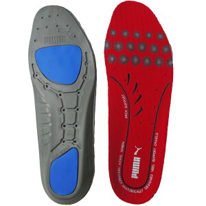 v[} Z[teB[ C\[ Y Go[NbV vX ~ SCp Ռz V[PA 204510 CPApi [֑ ŋz evid