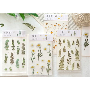 {^jJ V[ COXebJ[ (s1) PETf  A  hCt[ ԁ@NA t  fR R[W V[ fCW[ V_ [J N[o[ JX~\E A 