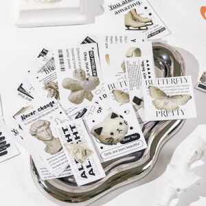 FRAGMENTFAVORITESSERIES(s113)V[ 50 XebJ[  ʐ^ S Jt fUC p XC[c  G CeA JtF A[g lp ؍ ꂢ 蒠 X}z m[g fR R[W