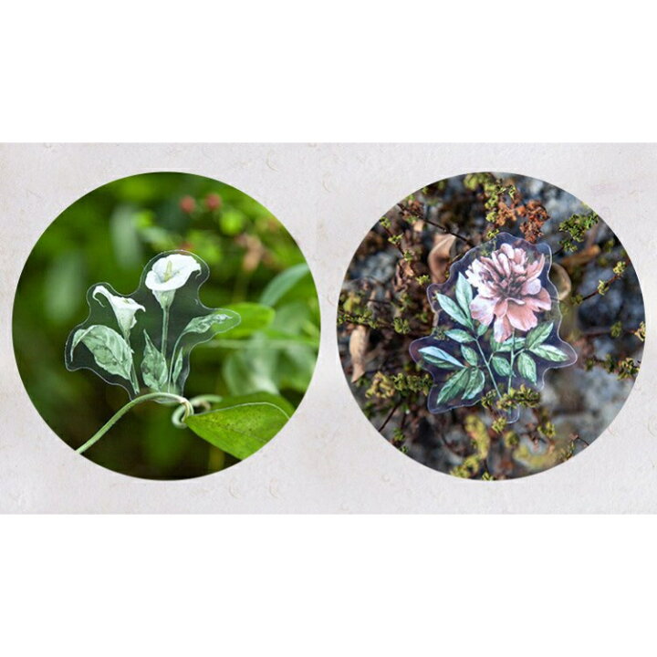 楽天市場 海外製フレークシール クリア お花 植物 月 S34 透明 カラフル 花 植物 葉 満月 葉 バラ アジサイ シダ ヒマワリ おしゃれ 珍しい デコ コラージュ シール 手紙 Pales Chop