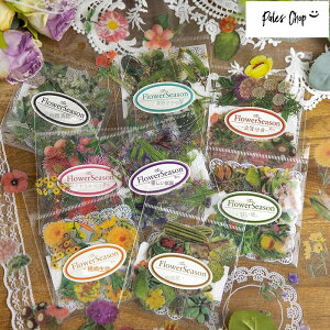 FlowerSeaso V[ n(s97)30 t[NV[ XebJ[ NA [X A  t t[ { 킢 Jt N₩  PET T{e o ؂̎ t[c R[W 蒠 fR 