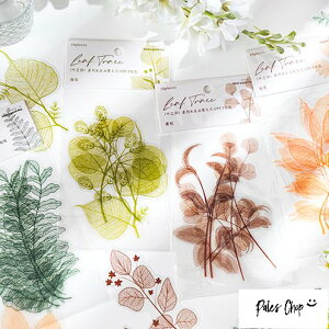 LeafTrace V[ (s86)10 XebJ[ t A   傫 ꂢ  Vv t  PET NA  fR R[W AW W[i DIY bsO