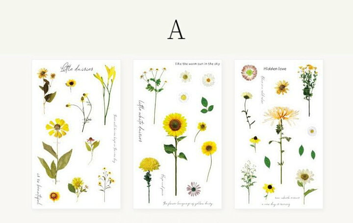 楽天市場 Floweringseasoninmarch S67 3シート入 シール ステッカー 花 植物 Pet 透明 英字 おしゃれ かわいい デイジー ヒマワリ バラ アジサイ カーネーション ムギ ユーカリ 押し花 ドライフラワー スマホ 手帳 デコ コラージュ アレンジ ジャーナル ラッピング